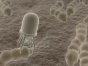 Nanotechnologies France double budget consacré leur développement