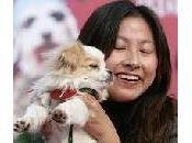 L'art d'être heureux