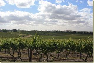Australie2008_ 598_Barossa Valley