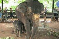 Circuit ''Sourires Lanka'' Séjour Club 