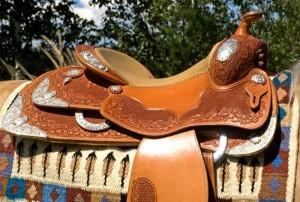 fg24155-800x540 fg24155 800x540 300x202 Père Noël, je veux une autre selle... photo cheval