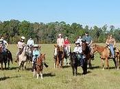 grande messe bourrin