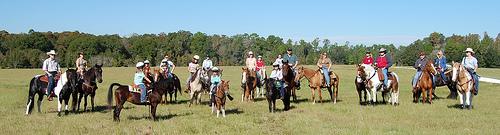 3038421604 89da5b8bd5 La grande messe du bourrin photo cheval