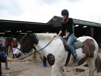 galop Les premiers pas à cheval photo cheval
