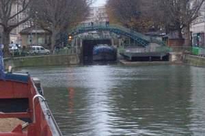 rose pour Martin... part