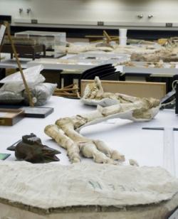 En images : le plus gros fossile de dinosaure d'Asie découvert en Chine