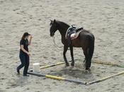 Education l’importance détails.