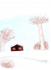 flocons blanc recueil.JPG