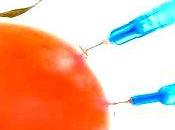 Accord européen pesticides plus dangereux