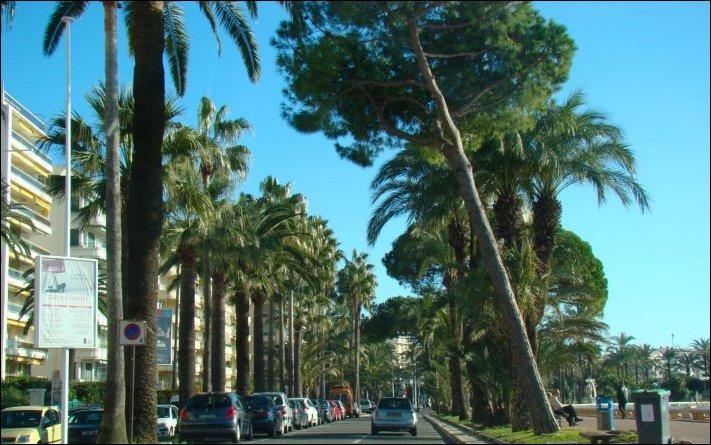 Avant les fêtes... burp !