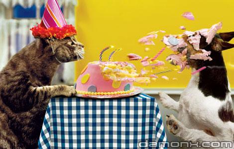 C'est Mon Anniversaire !!!