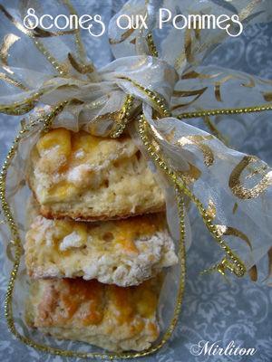 KKVKVK 28 ! Votez ! SCONES_AUX_POMMES