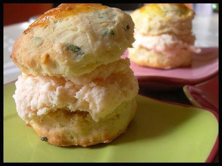 KKVKVK 28 ! Votez ! alice_aux_pays