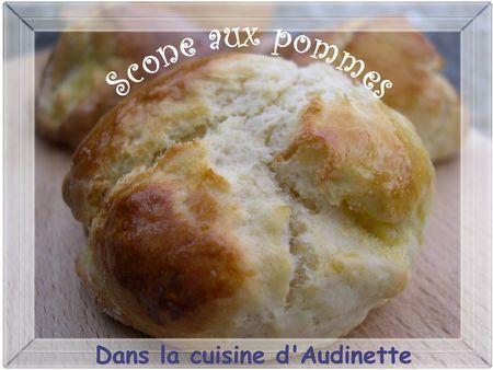 KKVKVK 28 ! Votez ! KKV28_Audinette