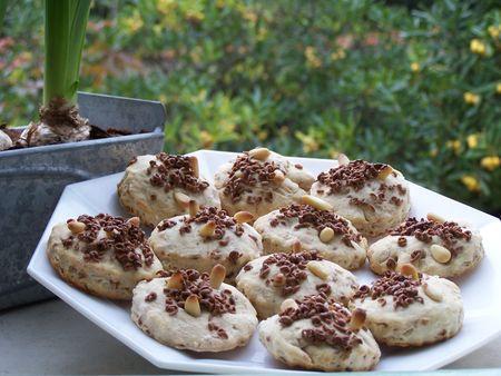 KKVKVK 28 ! Votez ! pralinoise_et_pignons