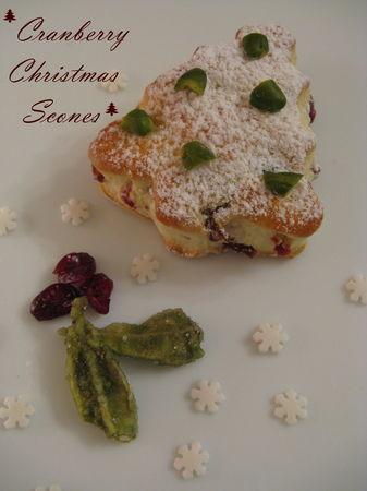 KKVKVK 28 ! Votez ! Cranberry_Christmas_Scones_035