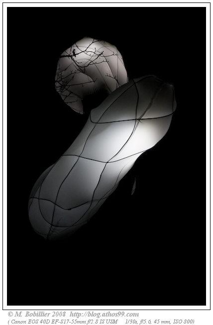 Sophie Guyot, Cocoon, Festival Arbres et Lumières 2008 Genève, Jardin anglais