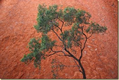 Australie2008_ 680_Red Center_Uluru