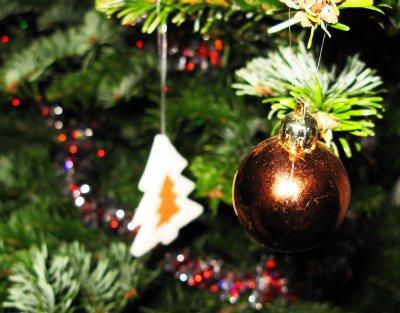 sapin noel chris martins esprit de noel amis famille