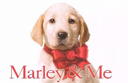 marleyandmetop