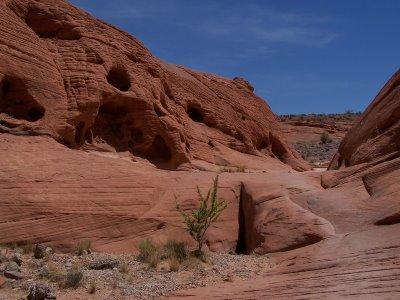 Valley of Fire, flamboyante Vallée de Feu