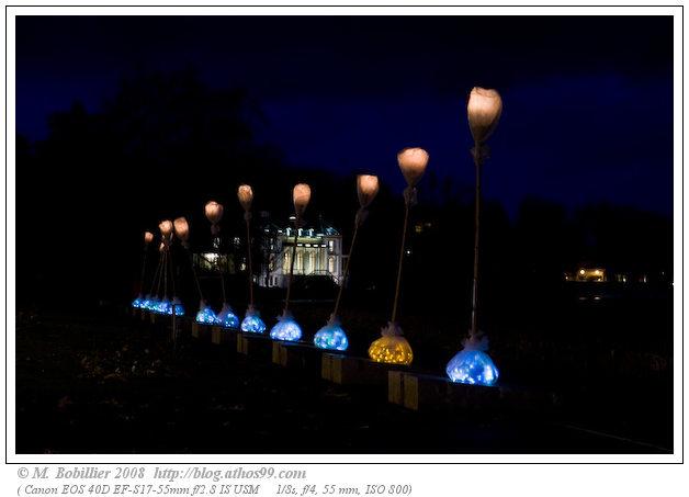 Eric Barray,Tige d'O, Festival Arbres et Lumières 2008 Genève,Quai Wilson