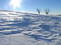 N'oubliez pas... Vosges