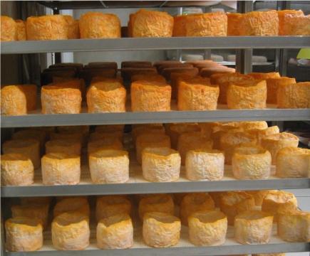 Langres