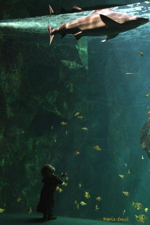 aqua_roch2348___copieAS