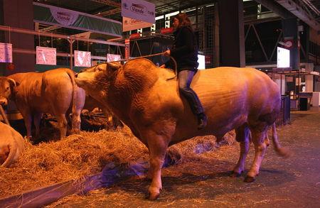 salon_agri_290208_7749A