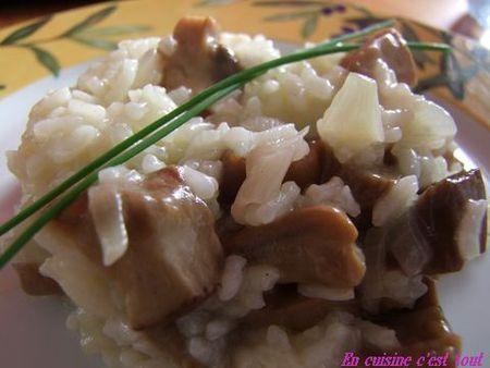 risotto_cepes_04
