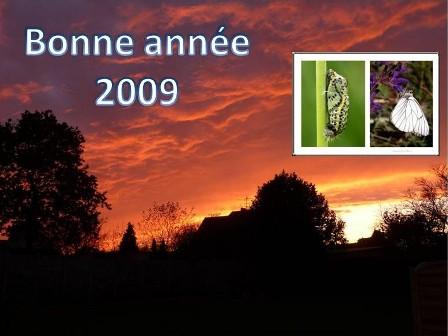 voeux-2009-web.1230543354.jpg