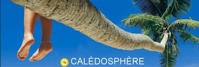 top blog blogometrie