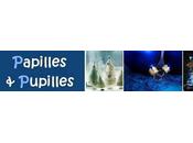 Best 2008 BlogoBulle