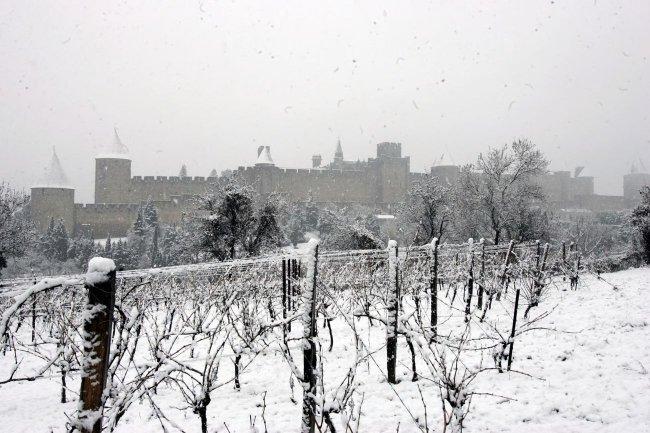 Noel blanc dans la rose ville