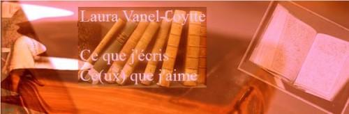 bannière blog modifié.JPG