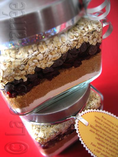 Biscuits en pot (brisures de chocolat et canneberges séchées)