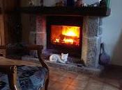 Toc, toc...2009 pointe nez!