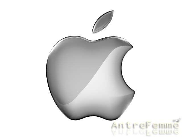 antrefemme-bilan-2008-apple