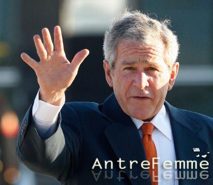antrefemme-bilan-2008-adieu-georges-bush