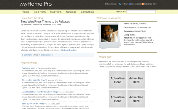 meilleurs thèmes WordPress premiums l’année 2008