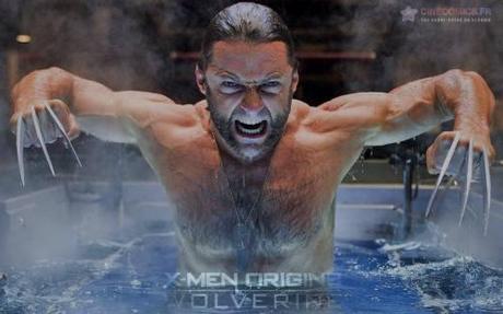 http://www.cinecomics.fr/images/stories/photos/X-men_origins_Wolverine/X-men-origins-wallpapers-cinecomics-presentation.jpg