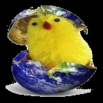 Ce qui suit est faux : ce qui précède est vrai !