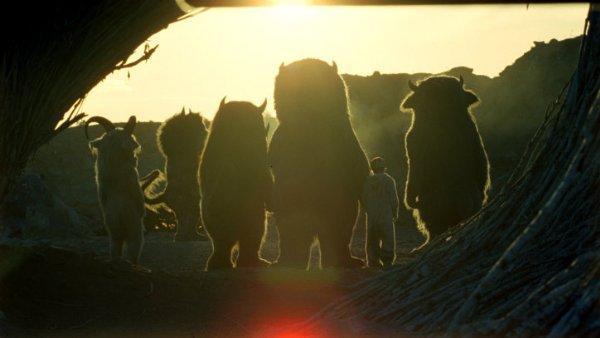 Des infos sur Where the Wild Things Are