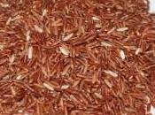 Découvrir différentes variétés