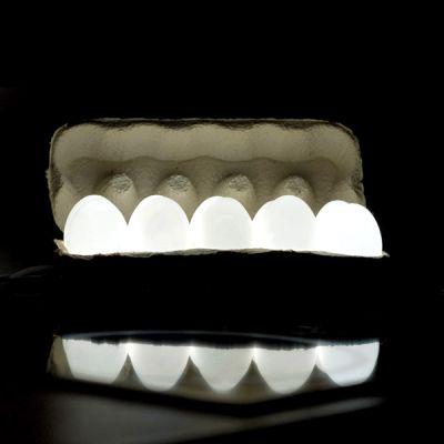 egglight © Igor Pinigin