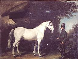 intendant Napoléon à cheval photo cheval