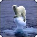 Polarbear