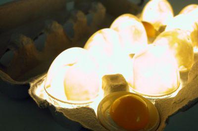 Smart Egg Bedside Lamp © Joons