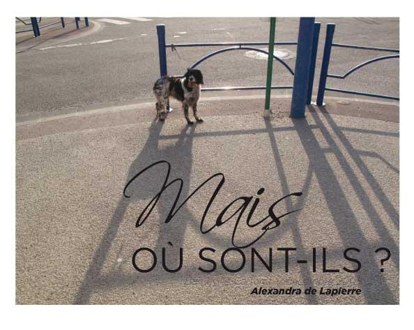 [mais-ou-sont-ils-1.jpg]